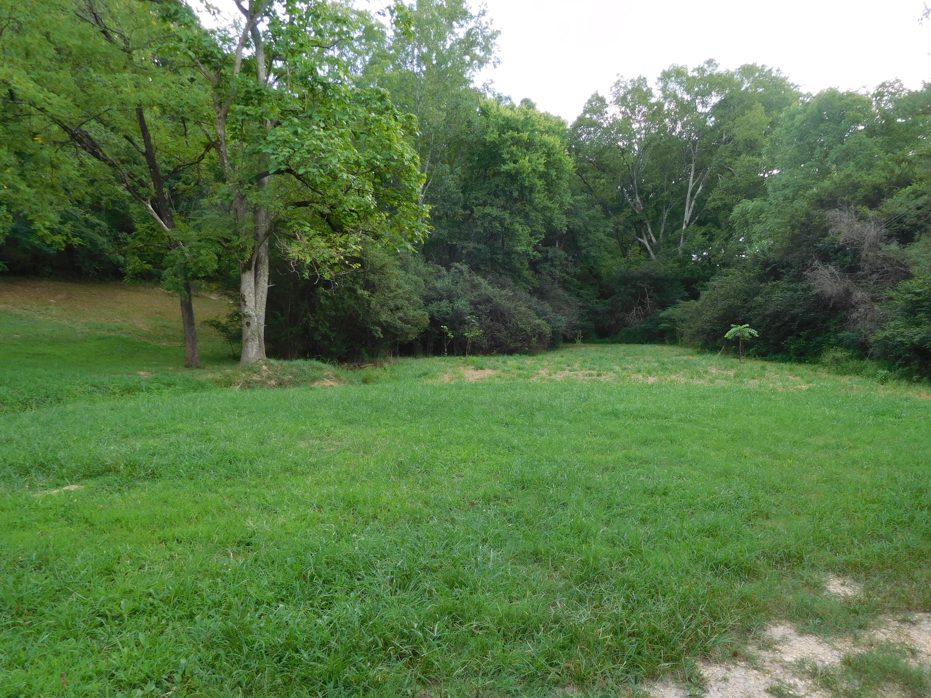 7505 Runyan Road Georgetown, TN 37336 - Photo 4 of 39 2016-08-25 15.44.08