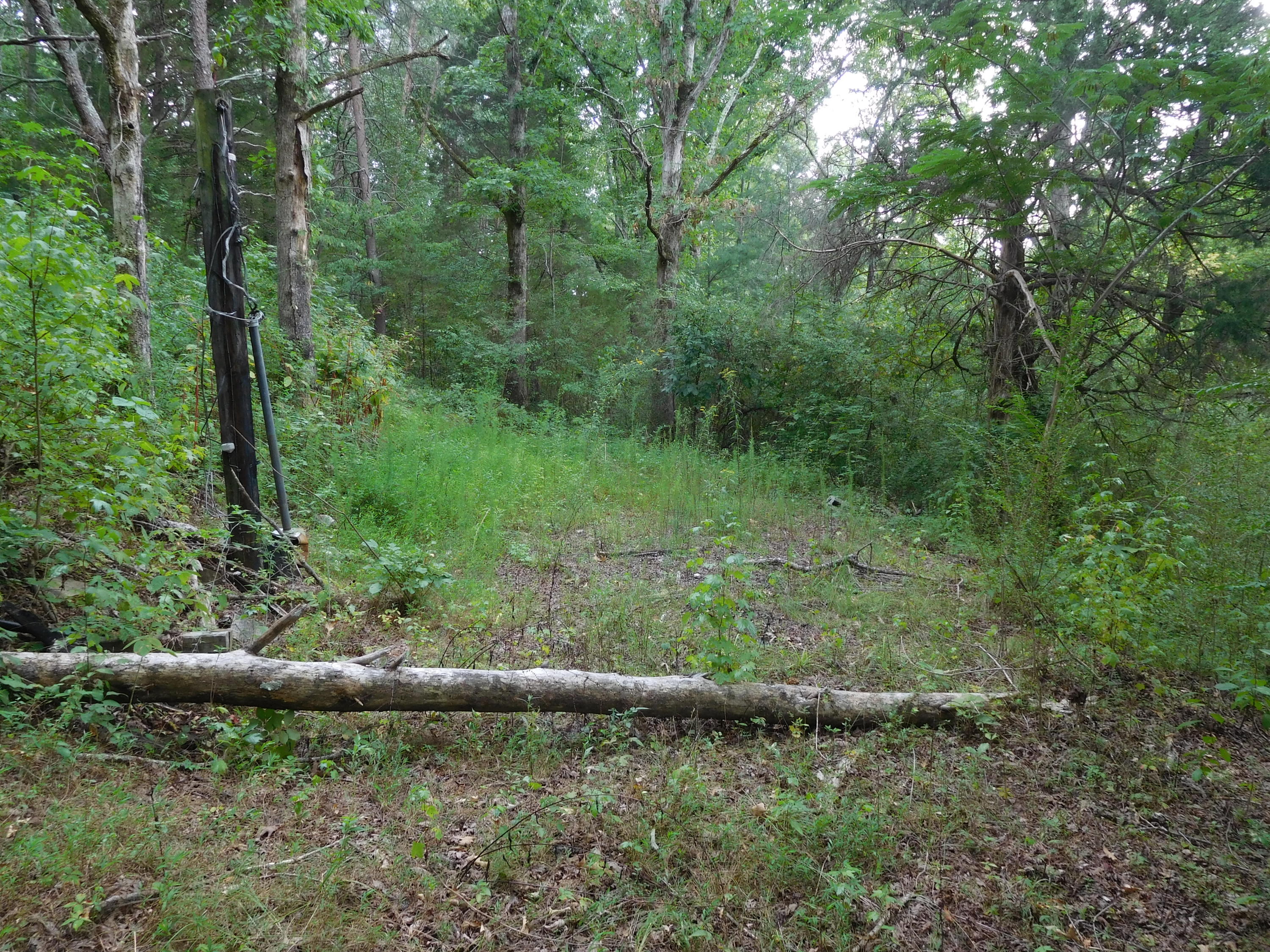 7505 Runyan Road Georgetown, TN 37336 - Photo 10 of 39 2016-08-25 15.48.03