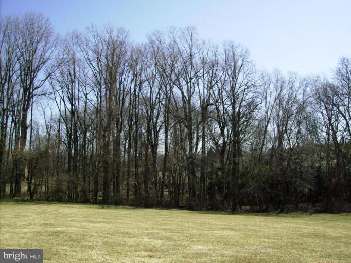 3105 Fallston Road Fallston, MD 21047 - Photo 3 of 30 a view of a yard