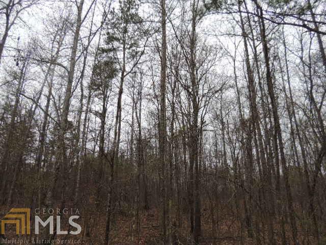 0 West Grantville Road, Unit LOT 2 Grantville, GA 30220 - Photo 1 of 1 Gallery Image 1