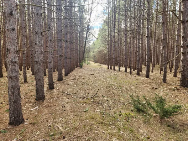 $89,000 | 2398 Bittersweet Drive, Manistee, MI 49660