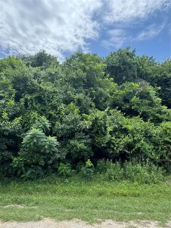 $20,000 | 12207 Rolling Oaks Drive, Whitney, TX 76692