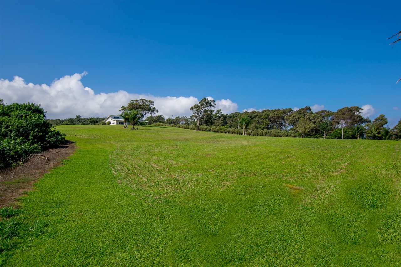 4605 Hana Highway Haiku, HI 96708 - Photo 15 of 30 a view of a grassy field with an trees