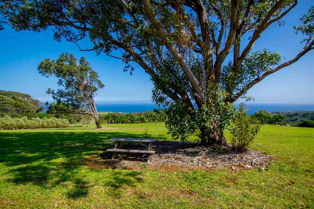 4605 Hana Highway Haiku, HI 96708 - Photo 8 of 30 a view of a garden with a tree