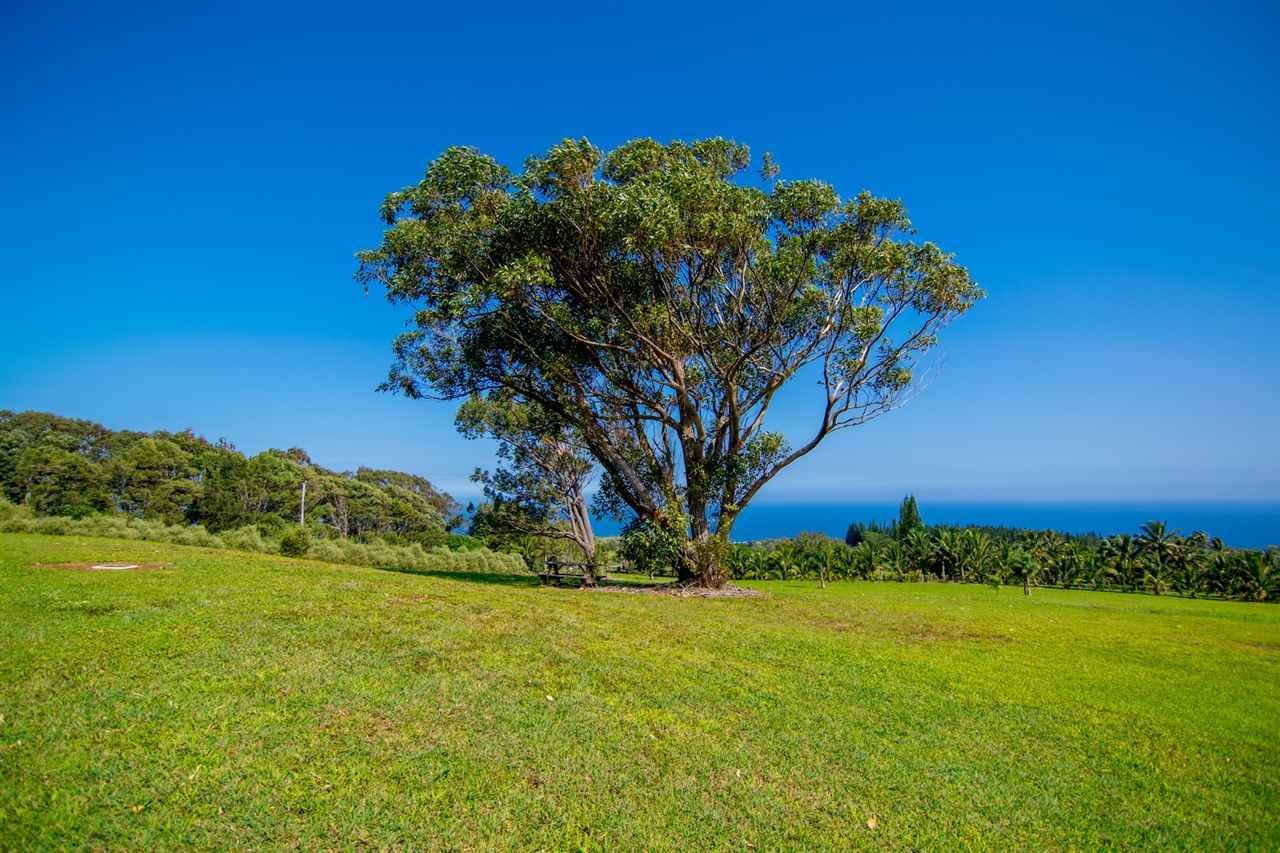 4605 Hana Highway Haiku, HI 96708 - Photo 10 of 30 a view of a garden