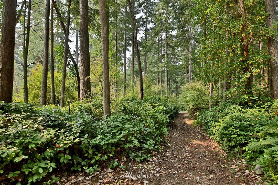 629 East Bush Point Road Freeland, WA 98249 - Photo 21 of 24 Gallery Image 21