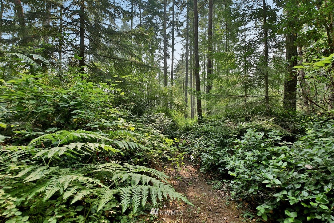 629 East Bush Point Road Freeland, WA 98249 - Photo 22 of 24 Gallery Image 22