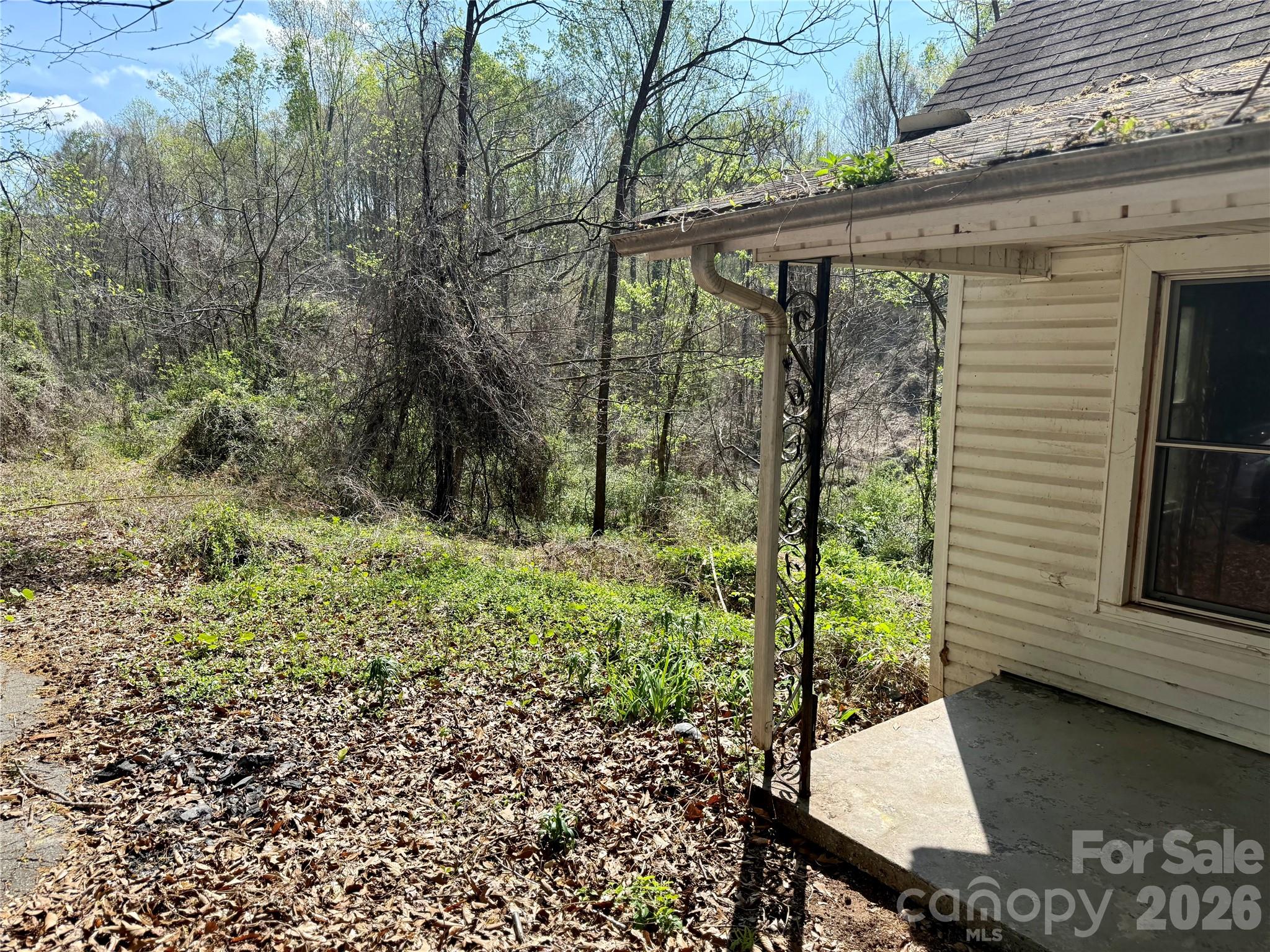 144 Branch Street Rutherfordton, NC 28139 - Photo 18 of 23