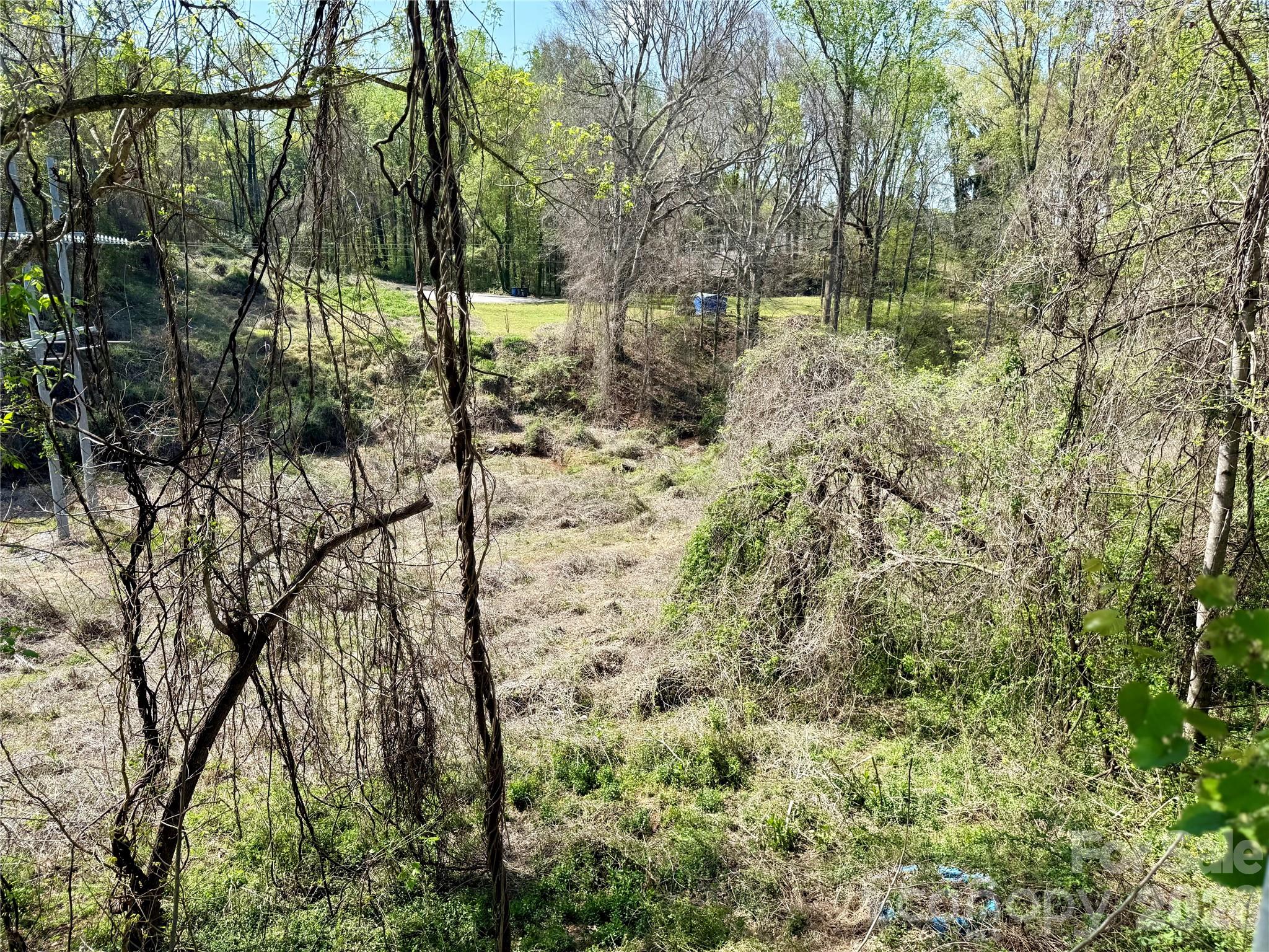 144 Branch Street Rutherfordton, NC 28139 - Photo 23 of 23