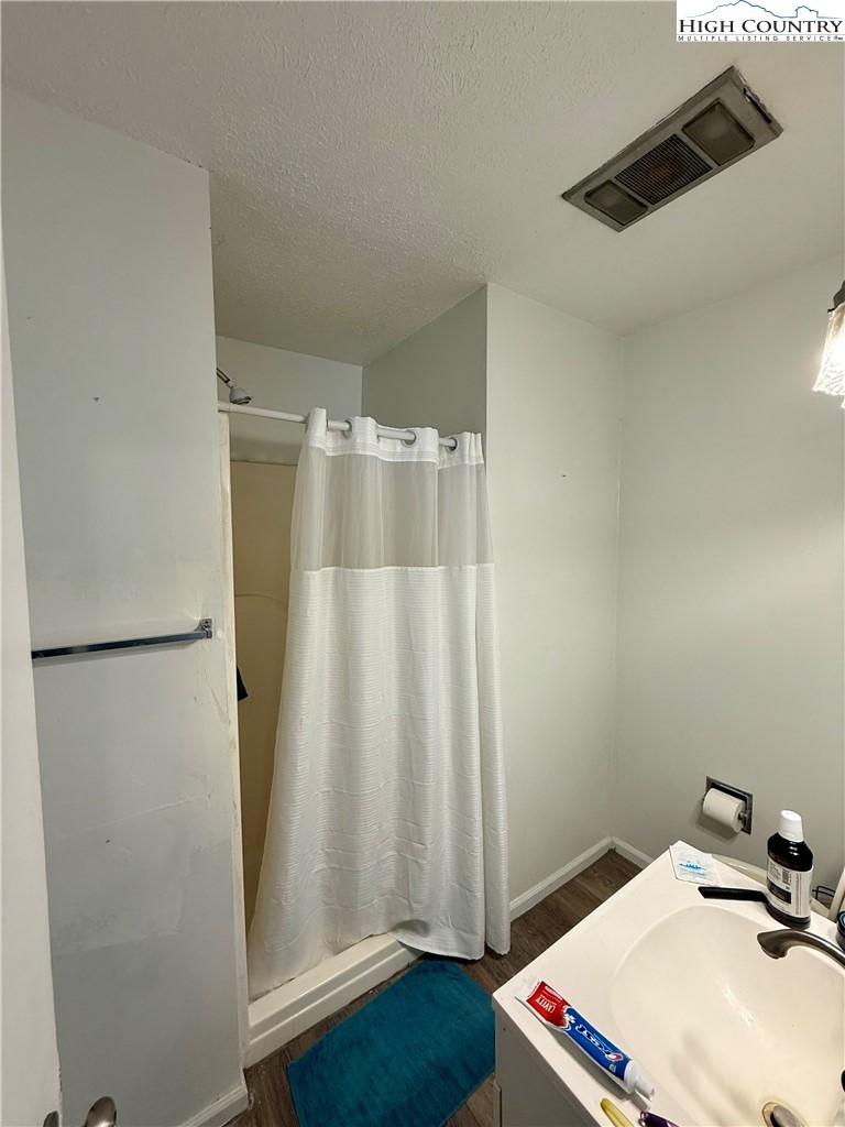 210 Howard's Creek Road Boone, NC 28607 - Photo 6 of 17