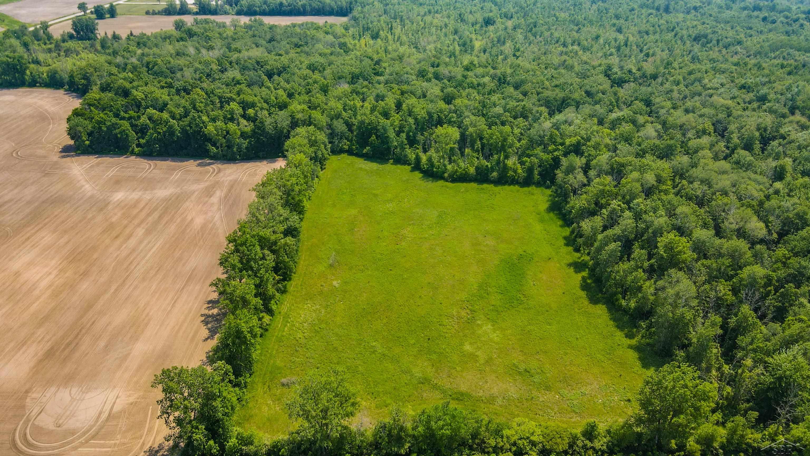 0 Carter Pinconning, MI 48650 - Photo 11 of 29 50108167-10.JPG