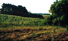 Kistler Road Scottville, MI 49454 - Photo 1 of 3 Primary Photo
