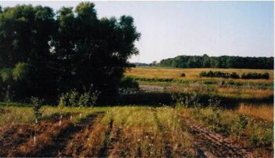 Kistler Road Scottville, MI 49454 - Photo 2 of 3 Additional Photo