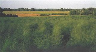 Kistler Road Scottville, MI 49454 - Photo 3 of 3 Additional Photo