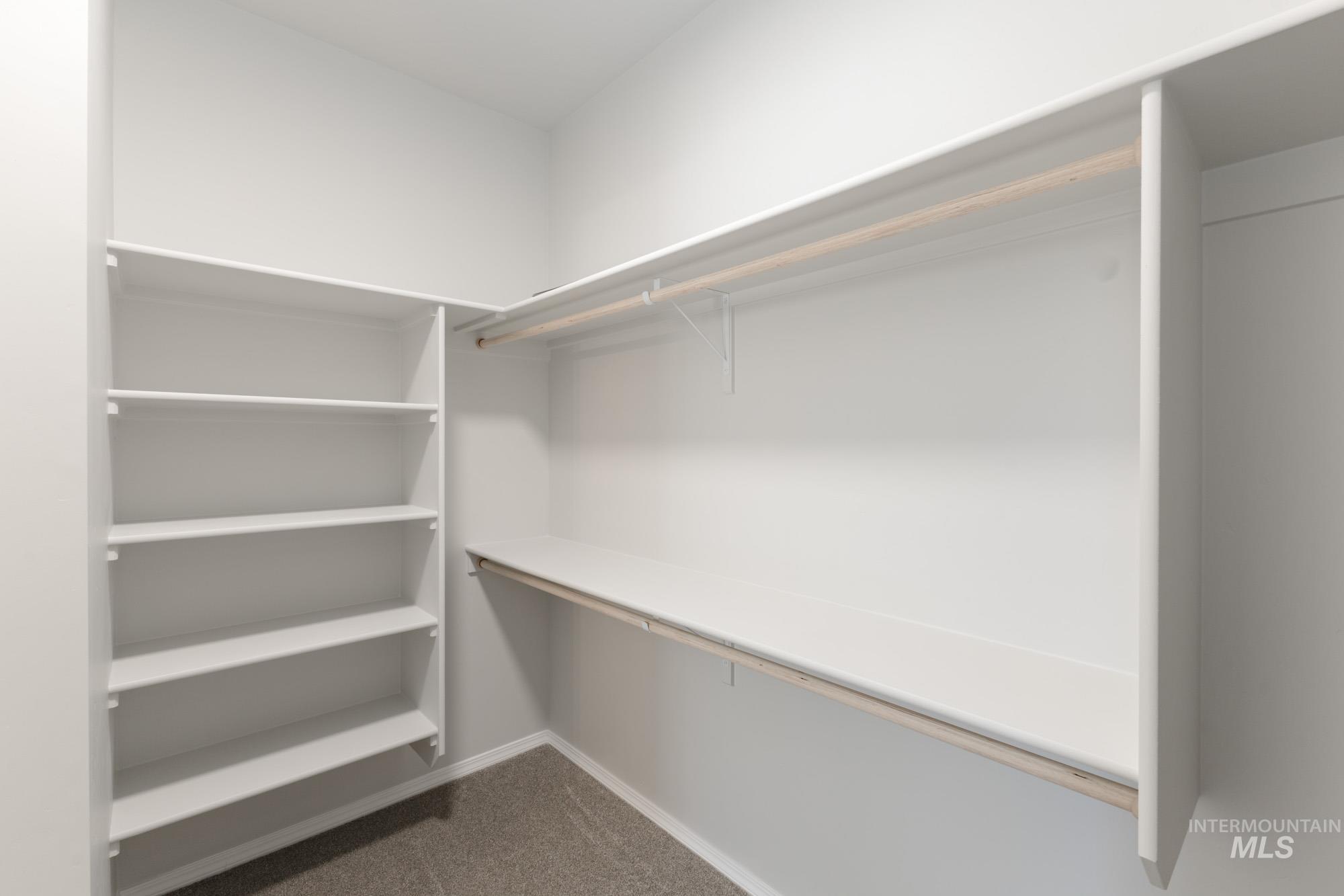 1459 Long Pond Street Middleton, ID 83644 - Photo 19 of 20 Spacious closet featuring dark colored carpet