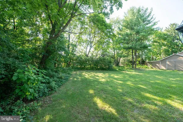 a view of yard with green space