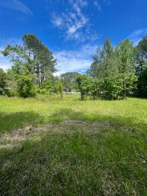 7477 North Highway 17 Awendaw, SC 29429 - Photo 11 of 13 Large Cleared Frontage