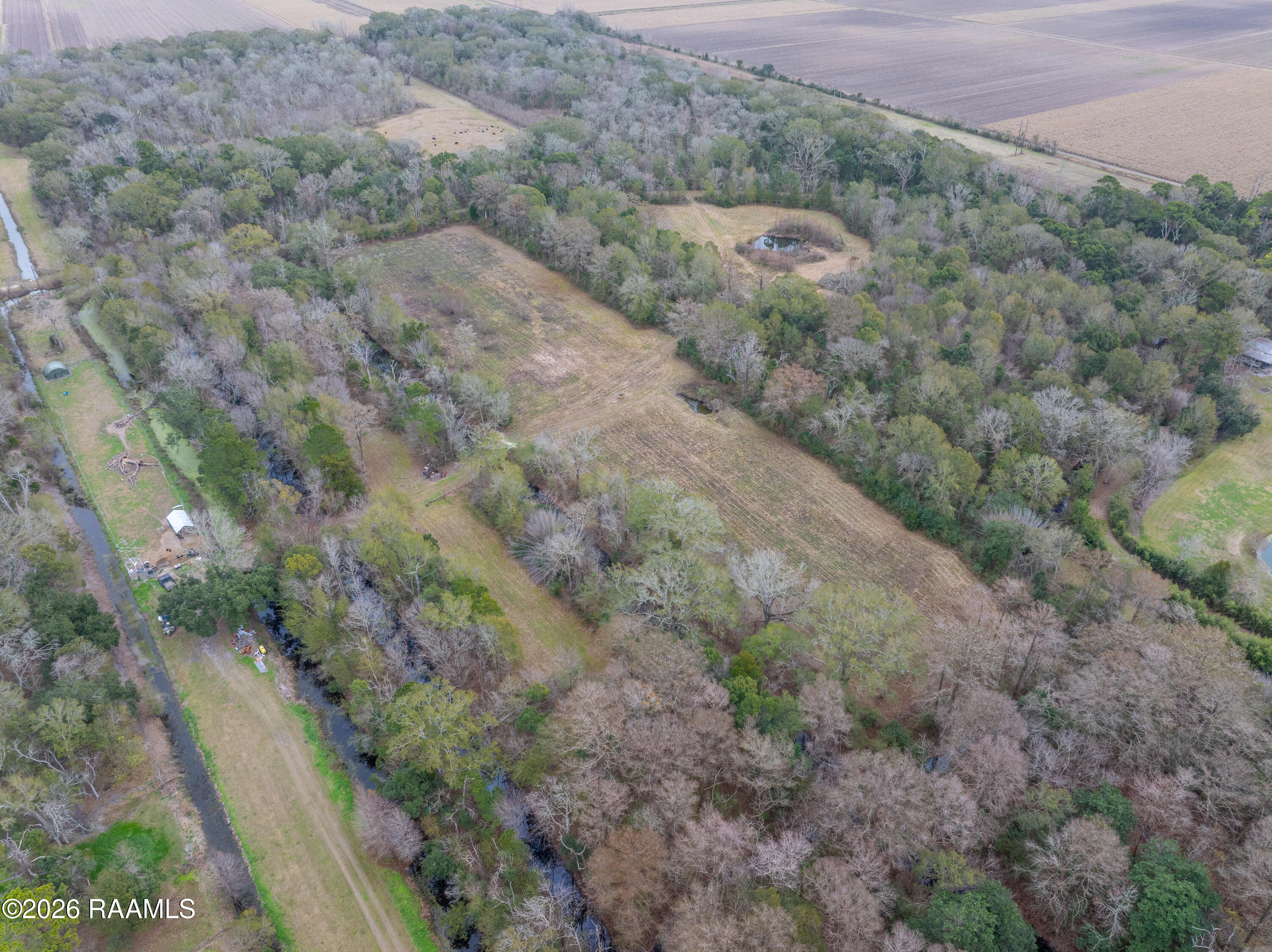 5114 Rip Van Winkle Road New Iberia, LA 70560 - Photo 6 of 19 5114RipVanWinkle-5
