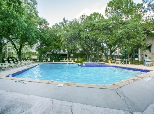 a view of a park with large trees