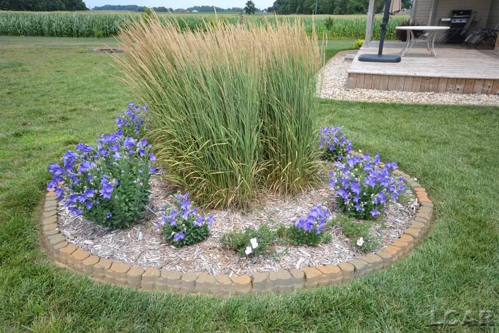7910 East Monroe Road Tecumseh, MI 49286 - Photo 54 of 69 31353950-53.JPG