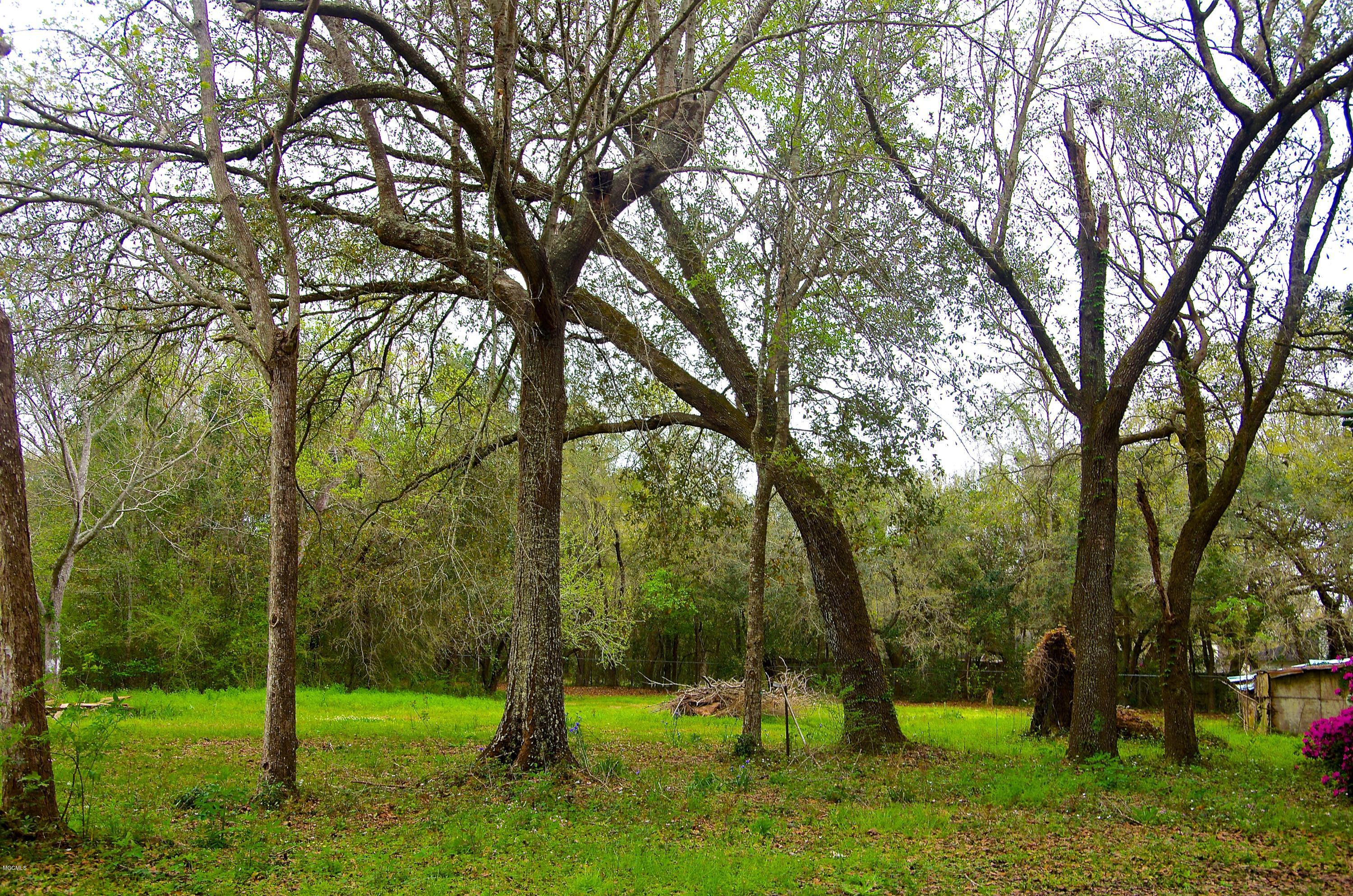 6062 Daugherty Road Long Beach, MS 39560 - Photo 15 of 47 IMGP2855