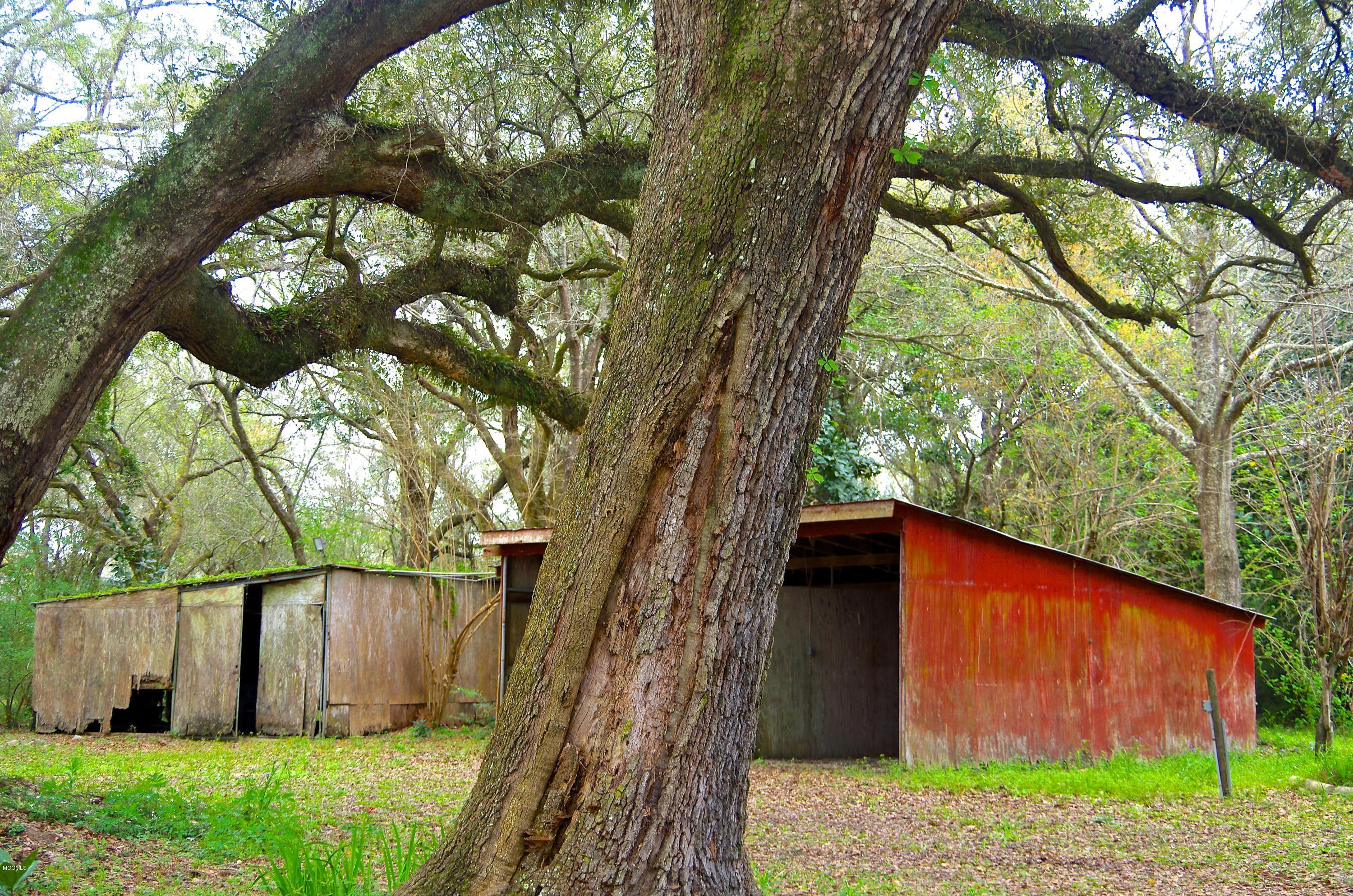 6062 Daugherty Road Long Beach, MS 39560 - Photo 5 of 47 IMGP2853
