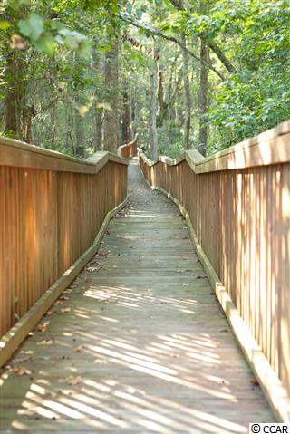 Lot 532 Chamberlin Road Myrtle Beach, SC 29588 - Photo 14 of 20 Gallery Image 14