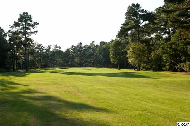 Lot 532 Chamberlin Road Myrtle Beach, SC 29588 - Photo 19 of 20 Gallery Image 19
