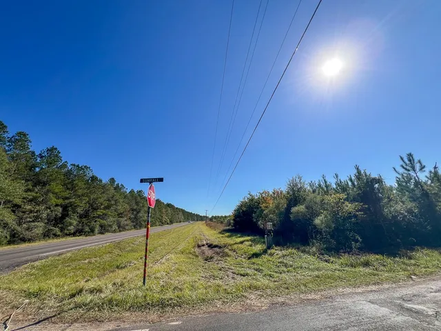 a view of a back yard