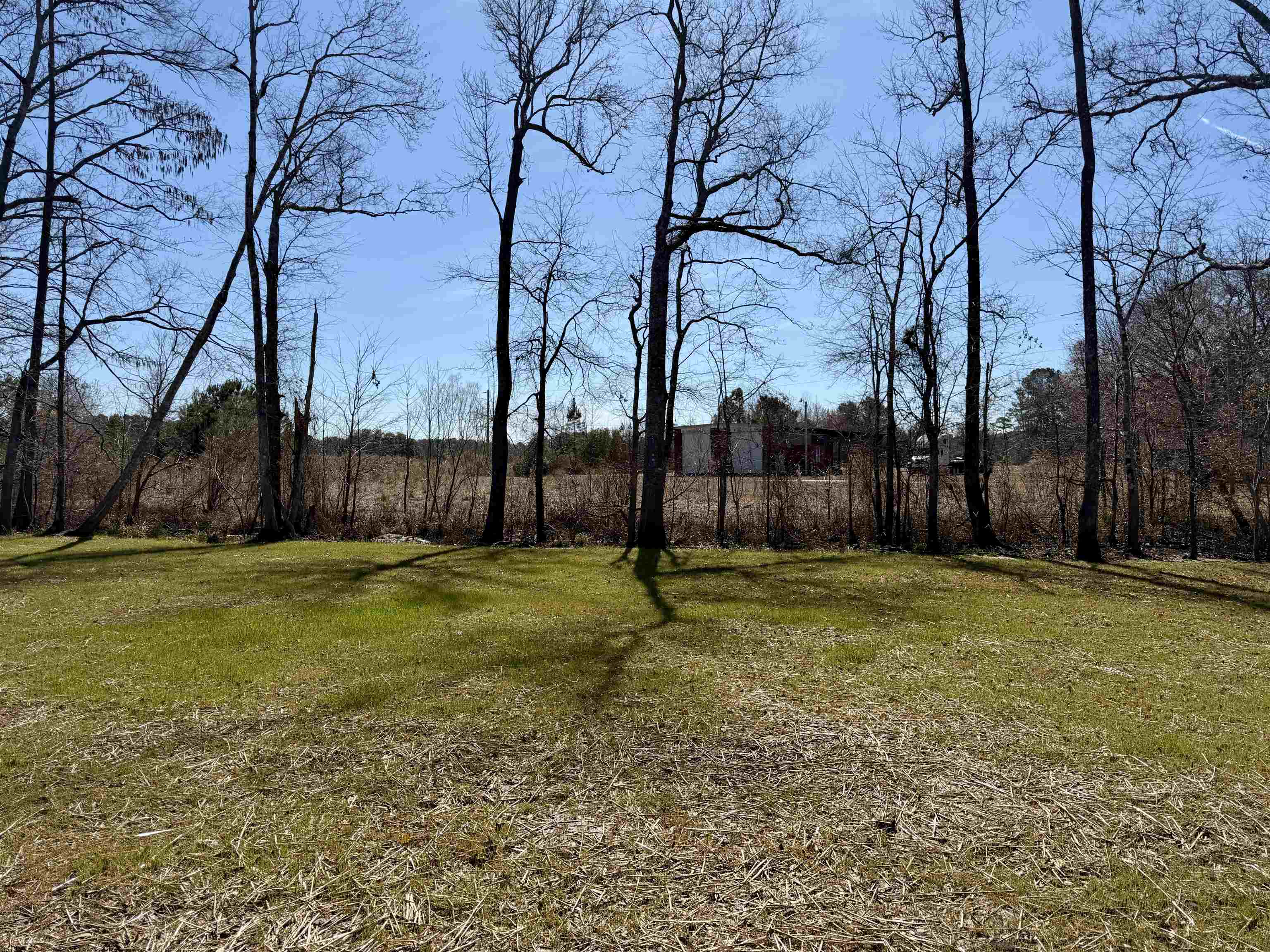 599 Loop Circle Longs, SC 29568 - Photo 31 of 35 Gallery Image 31