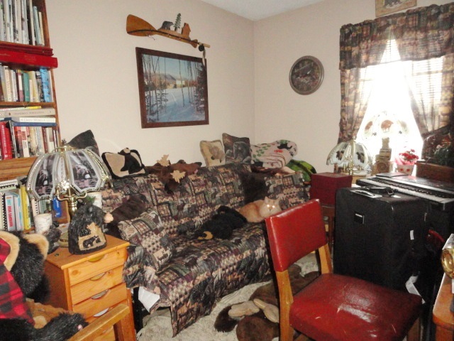 4750 Hoover Road Barryton, MI 49305 - Photo 10 of 18 1813337-9.JPG