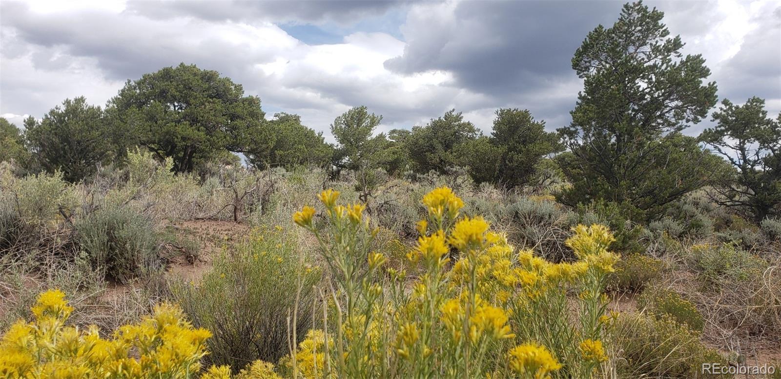 Lot 6969 Trinchera Ranch Road Fort Garland, CO 81133 - Photo 1 of 15 Gallery Image 1