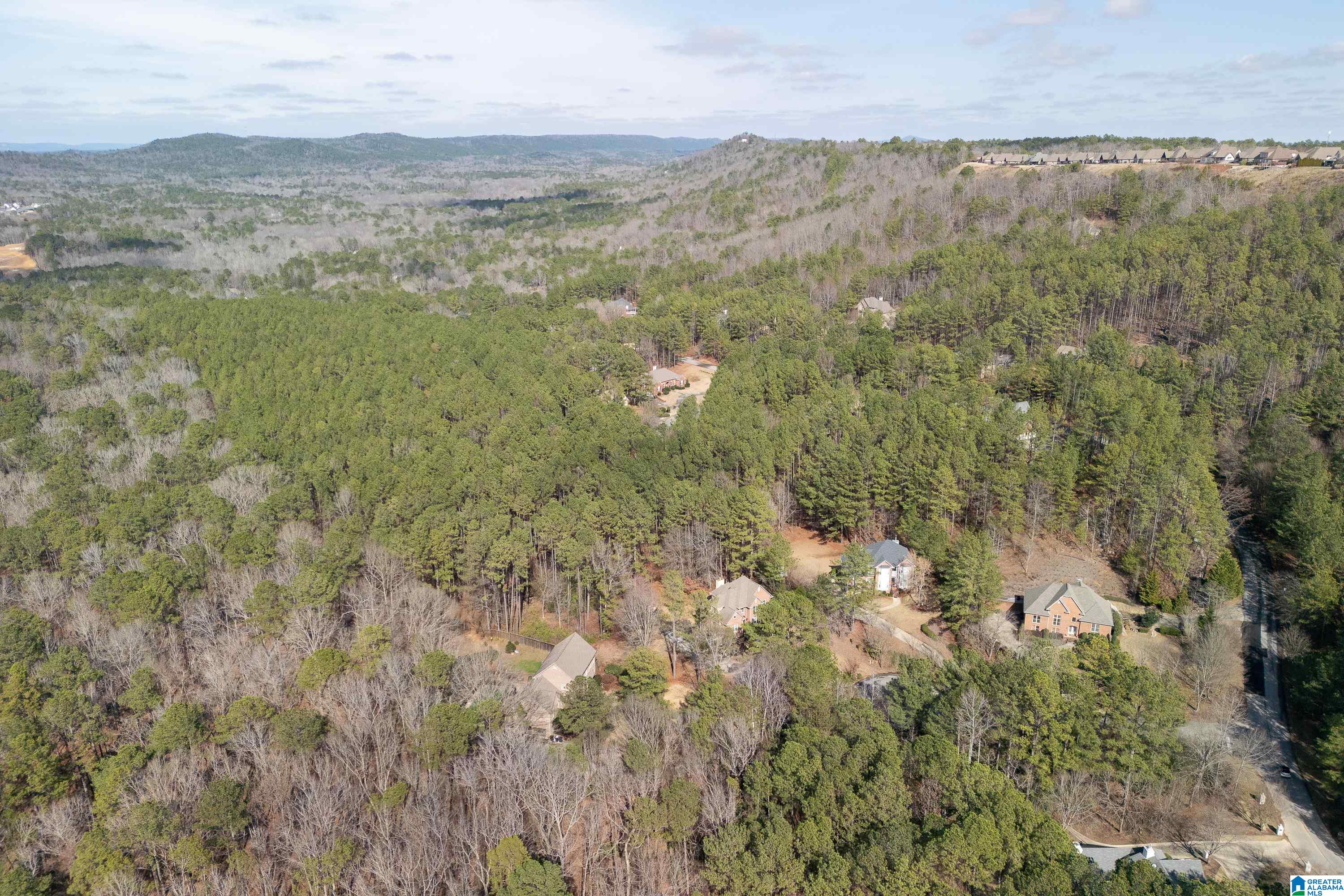 104 Windsor Trail Pelham, AL 35124 - Photo 73 of 79