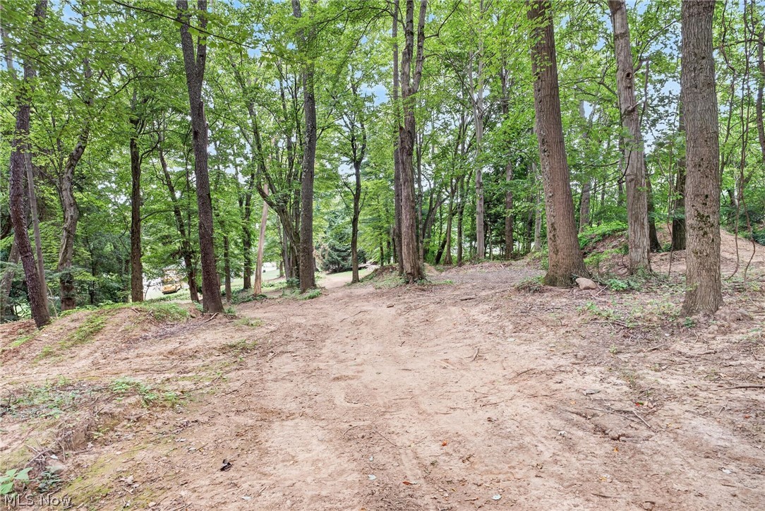 4824 Manchester Road Akron, OH 44319 - Photo 29 of 39 Wooded property featuring mature trees and a dirt path