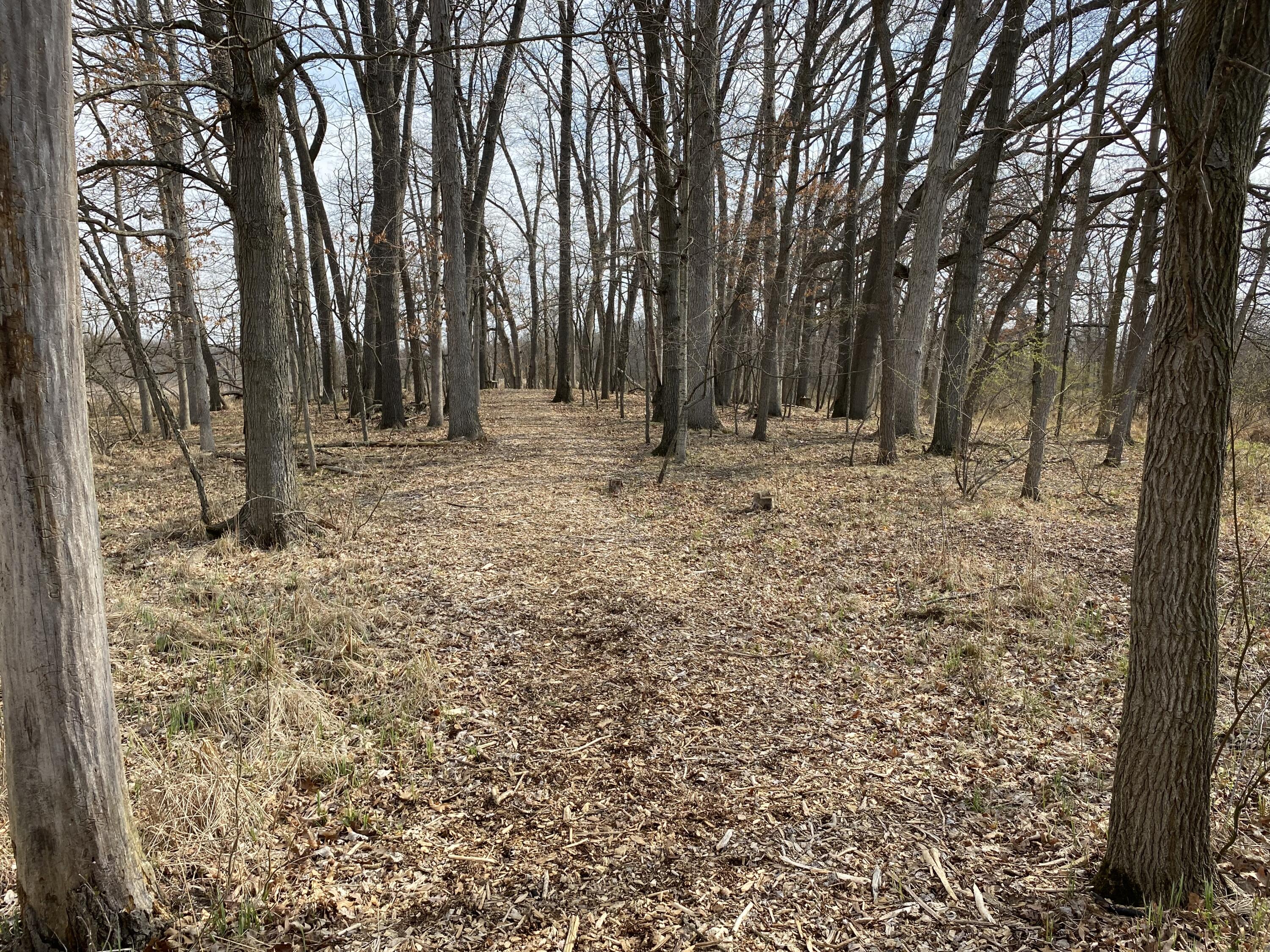 593 North Union City Road Coldwater, MI 49036 - Photo 23 of 69 IMG_2589