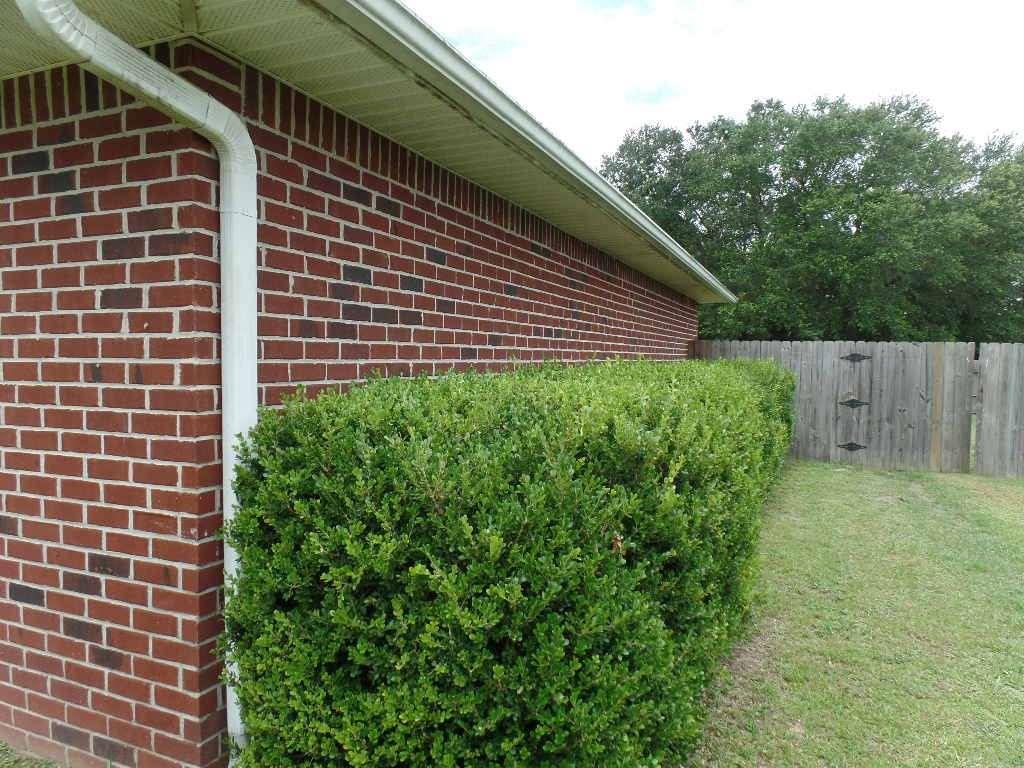 5613 Windermere Trace Pace, FL 32571 - Photo 3 of 18