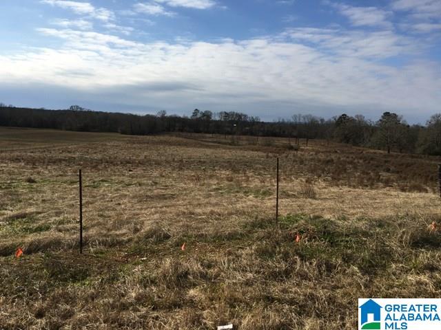 0 County Road 235, Unit 1 Alpine, AL 35014 - Photo 1 of 12