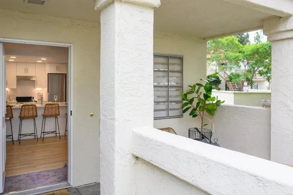 a potted plant sitting on a counter top of a house