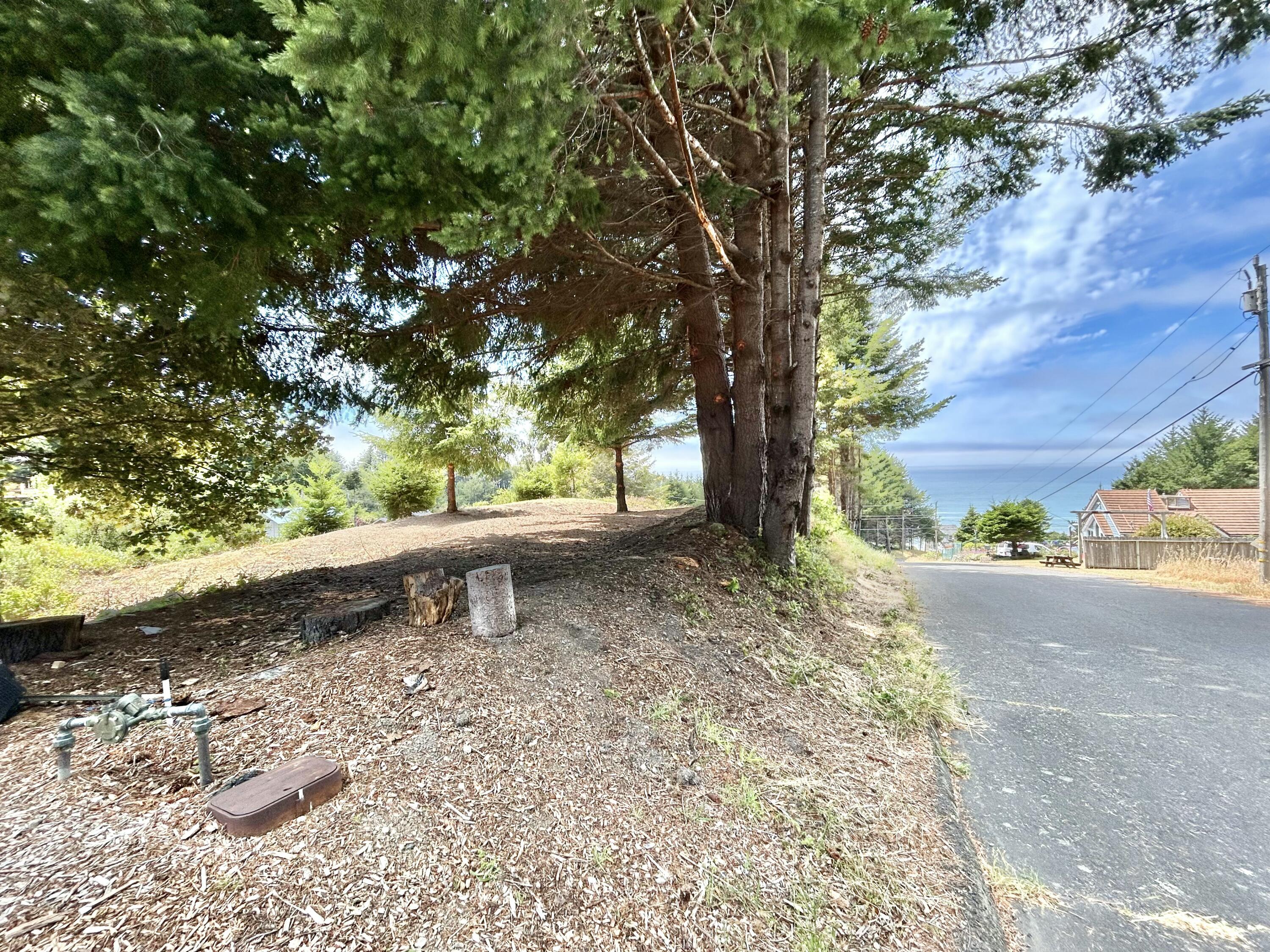 542-554 Ridge Road Shelter Cove, CA 95589 - Photo 2 of 20