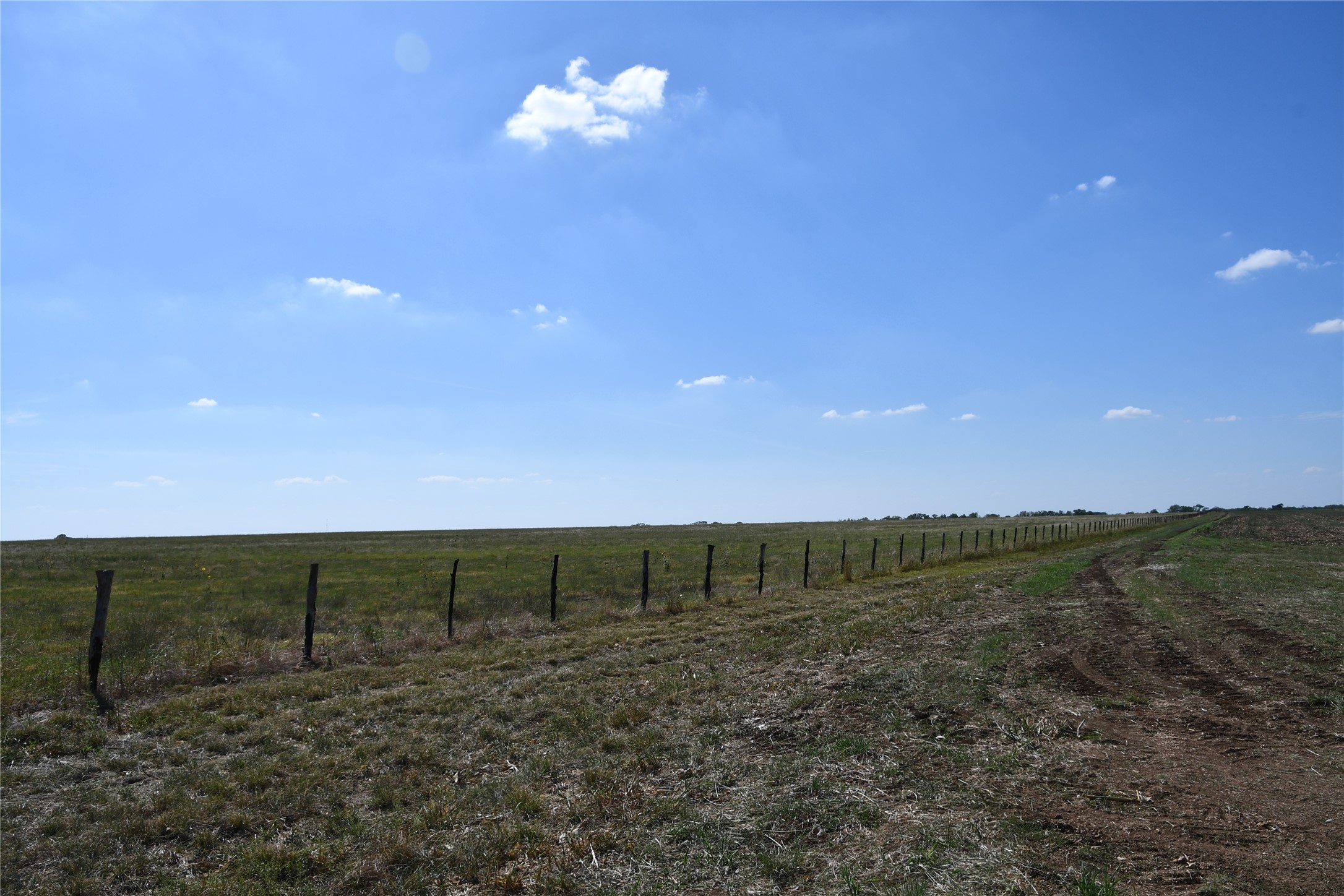 000 County Road Oglesby, TX 76561 - Photo 4 of 14
