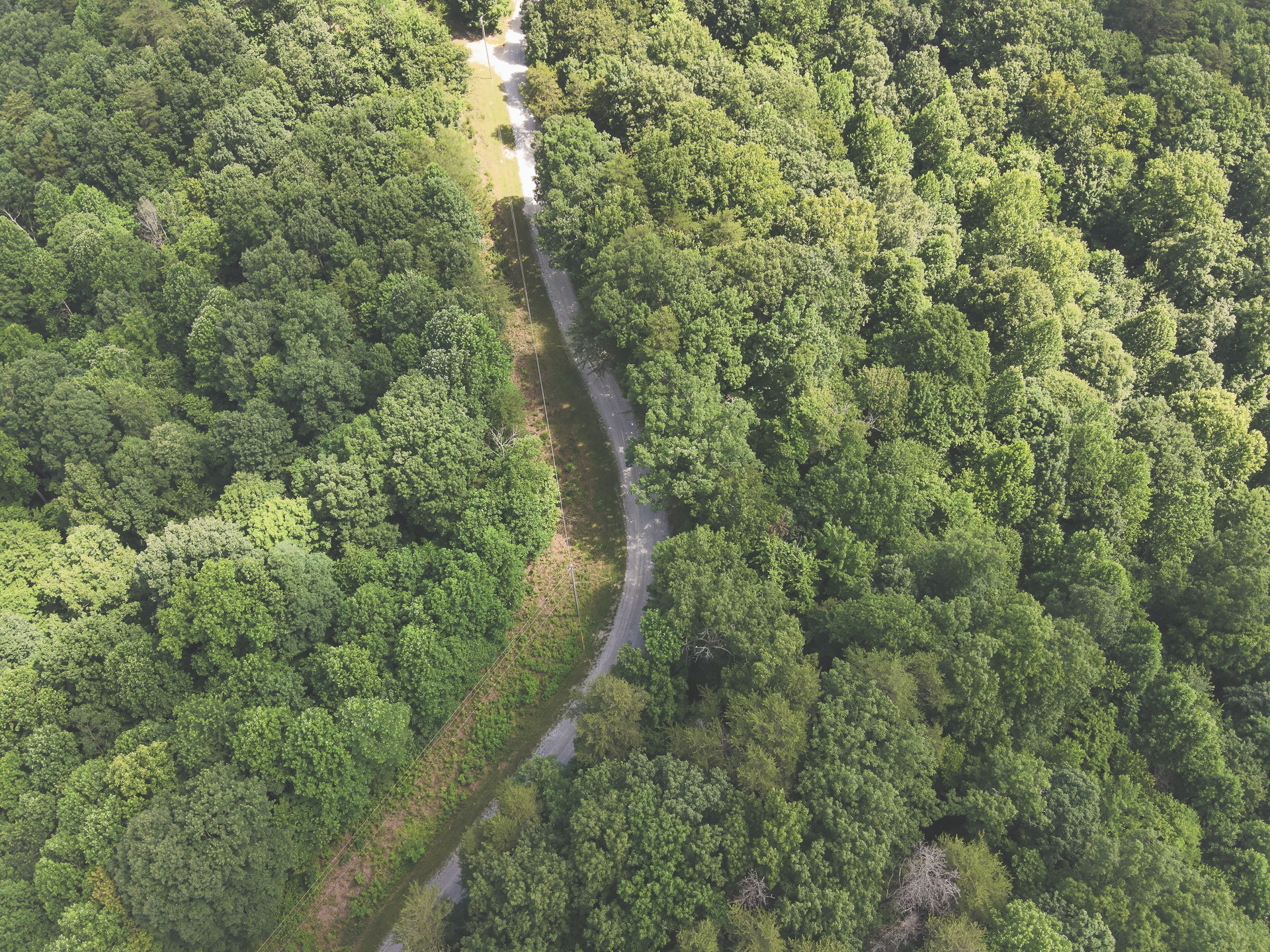 0 Long Fork Creek Road Spencer, TN 38585 - Photo 44 of 45