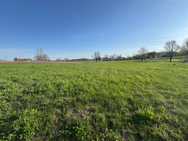a view of a green field with lots of bushes