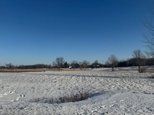 a view of a dry yard
