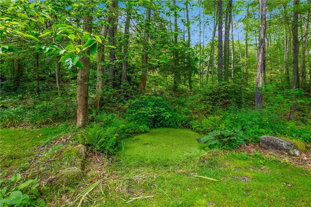 604 Lake Shore Road Friedens, PA 15541 - Photo 33 of 44 Gallery Image 33