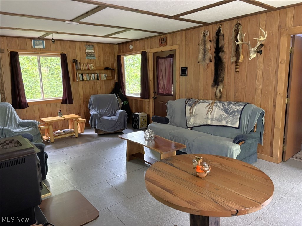 34215 Mt Hope Ridge Road Graysville, OH 45734 - Photo 30 of 50 Living area featuring wood walls and plenty of natural light