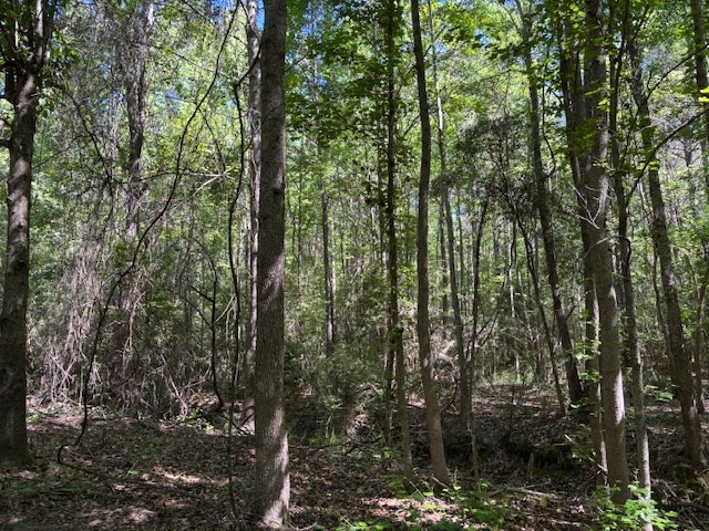 362 Freddie Whiddon Road Webb, AL 36376 - Photo 7 of 8