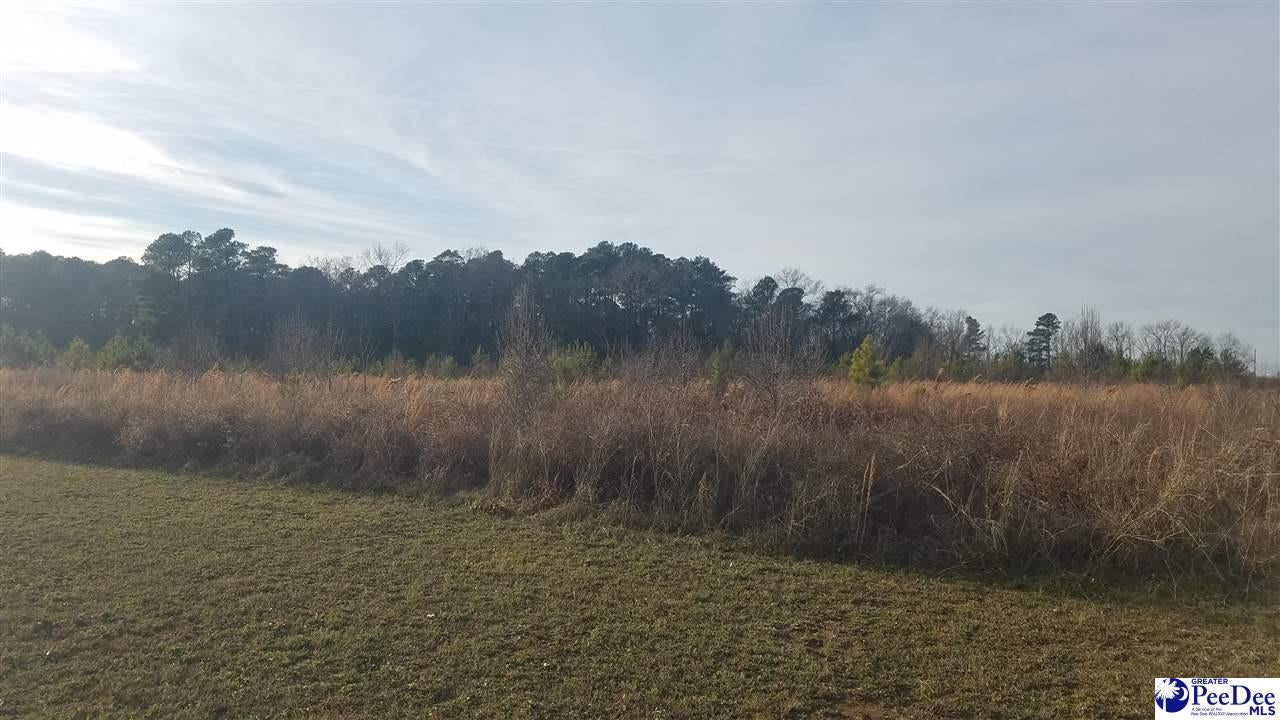 Tbd Beauty Spot Road Bennettsville, SC 29512 - Photo 1 of 1 Gallery Image 1
