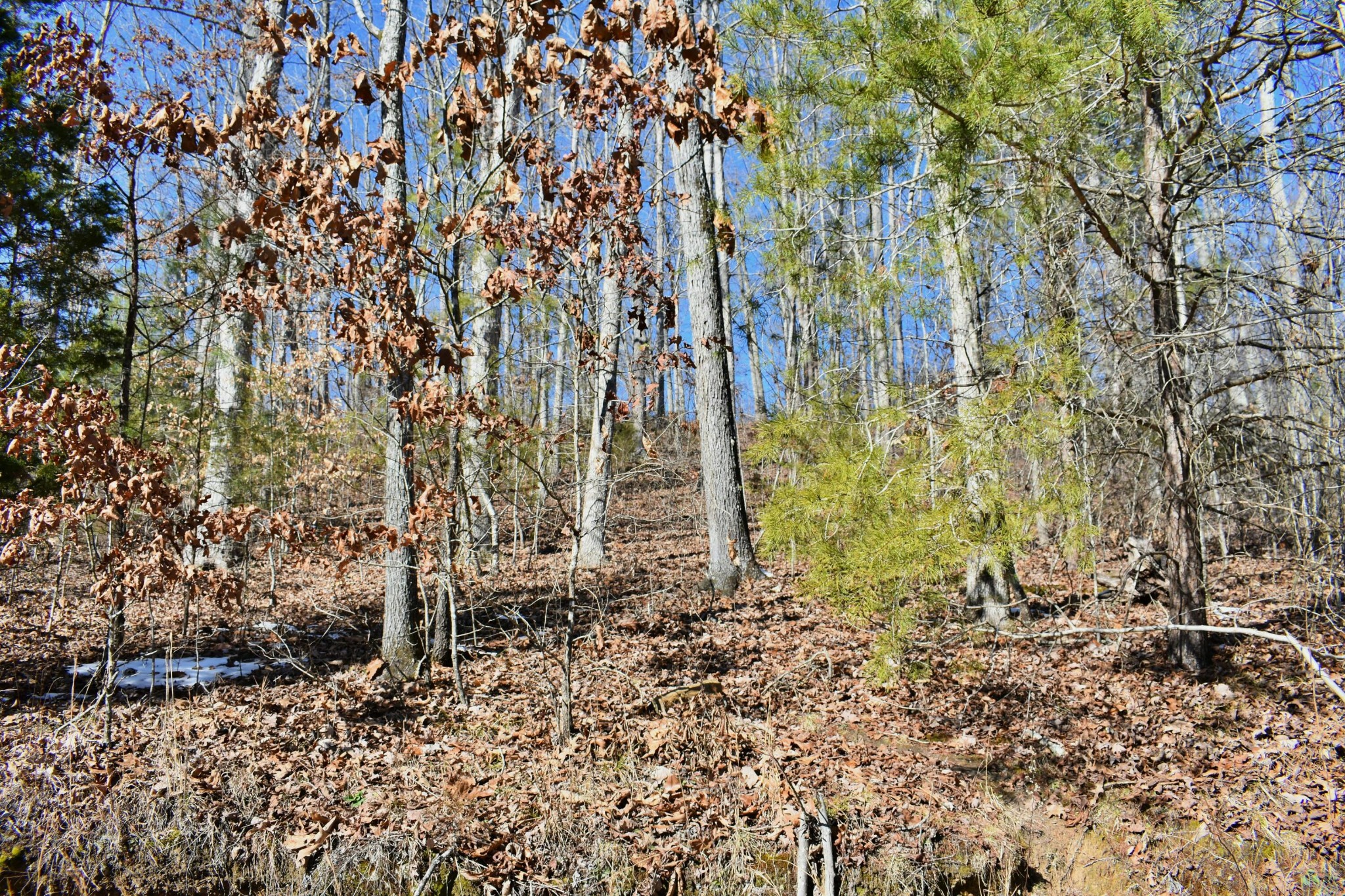 Gallery Image 6