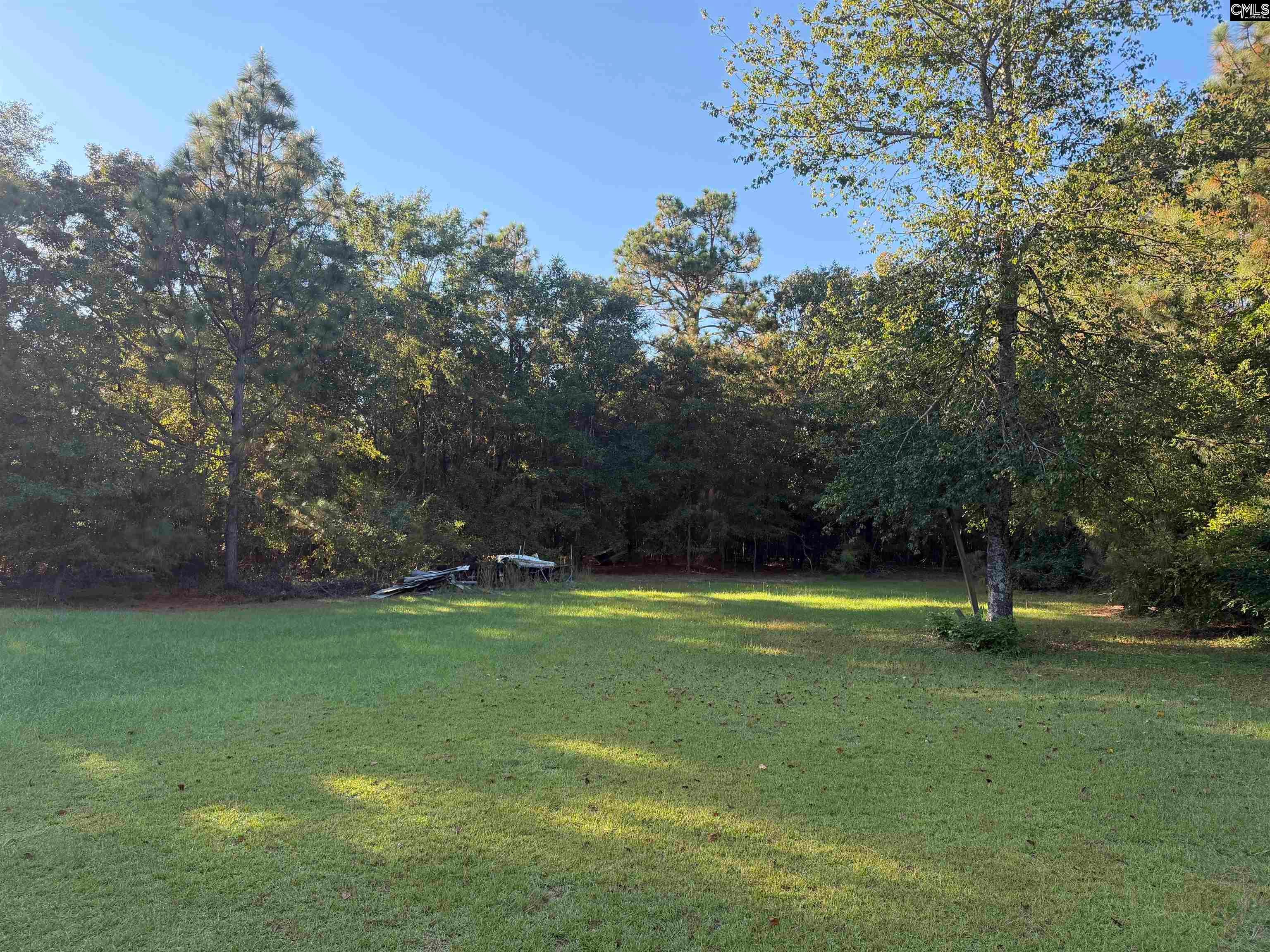 754 Athens School Road Swansea, SC 29160 - Photo 7 of 11 Gallery Image 7