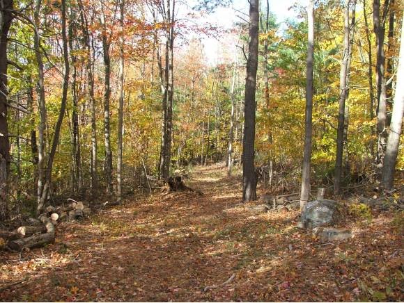 0 Flanders Memorial Road Weare, NH 03281 - Photo 1 of 1